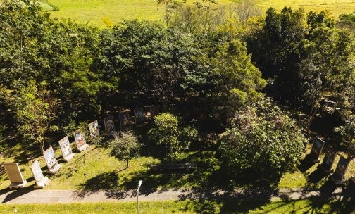 Arte urbana nos Passeios: transformando espaços públicos em galerias a céu aberto