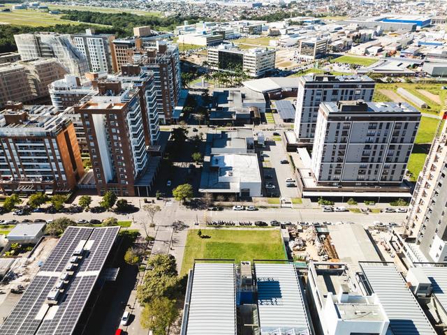 O papel dos ecossistemas de inovação no crescimento das startups O papel dos ecossistemas de inovação no crescimento das startups